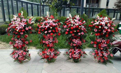 u=1010106395,3981520127&fm=26&gp=0.jpg