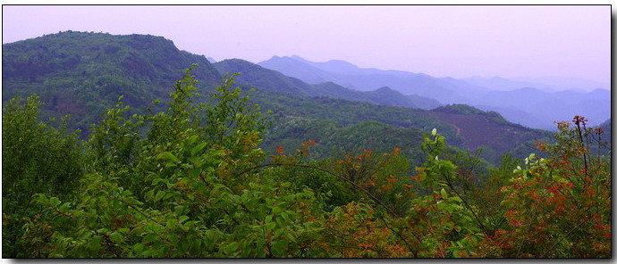 src=http___s12.sinaimg.cn_middle_48f9c02ct852ea2b7747b&690&refer=http___s12.sinaimg.jpg