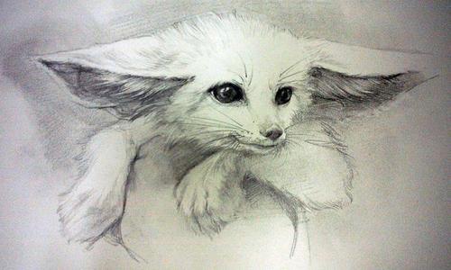 u=3197344866,474963954&fm=26&gp=0.jpg