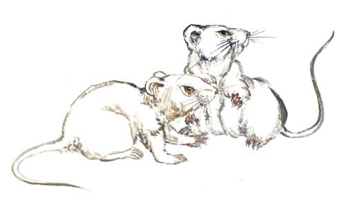 u=3868053166,1408173796&fm=26&gp=0.jpg