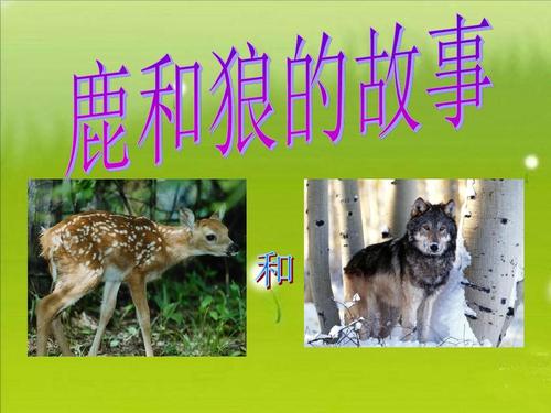 u=2411535726,237970112&fm=26&gp=0.jpg