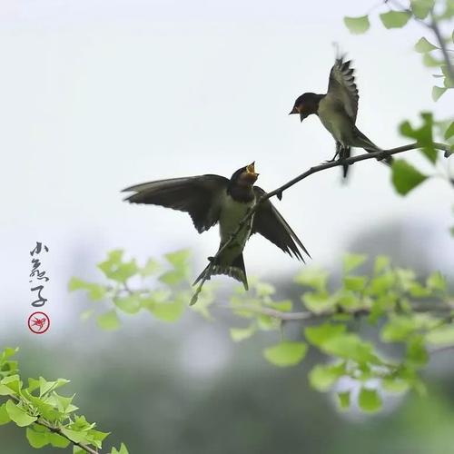 u=928440862,2826467452&fm=26&gp=0.jpg