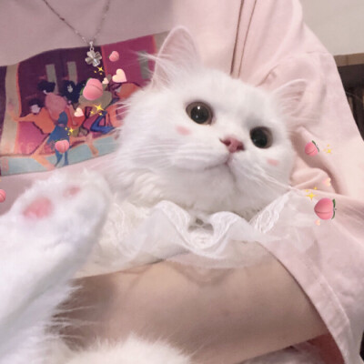 src=http___c-ssl.duitang.com_uploads_item_202006_13_20200613095045_puzge.thumb.400_0.jpeg&refer=http___c-ssl.duitang.jpg